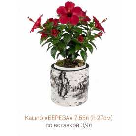 Кашпо-пень "БЕРЕЗА" низкое со вставкой, объем 7.55 л (высота 27 см)