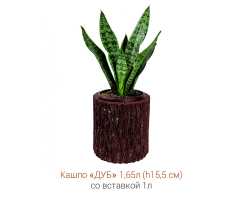 Кашпо-пень "ДУБ" низкое со вставкой, объем 1.65 л (высота 15.5 см)