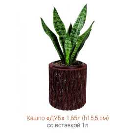 Кашпо-пень "ДУБ" низкое со вставкой, объем 1.65 л (высота 15.5 см)