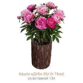 Кашпо-пень "ДУБ" высокое со вставкой, объем 55.5 л (высота 74 см)