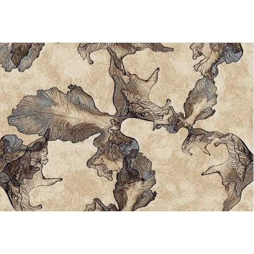 Фото Ковер Merinos Sierra D711, BEIGE-BROWN 1,00*2,00