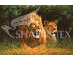 Коврик Shahintex Photoprint SH P121 (100х145cм)